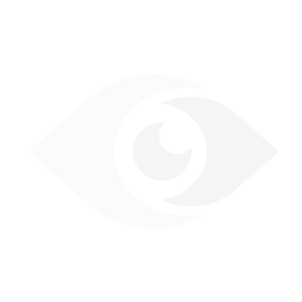 WisdomEye Logo